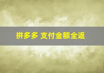 拼多多 支付金额全返